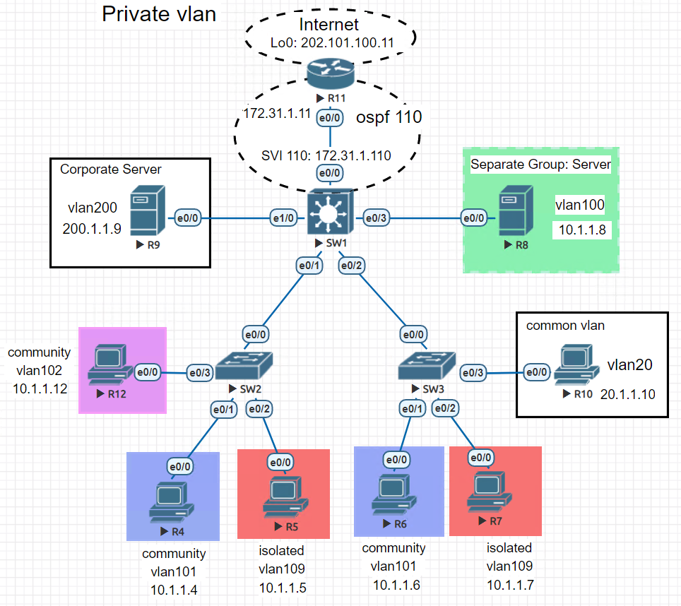 invalid private vlan type assignment