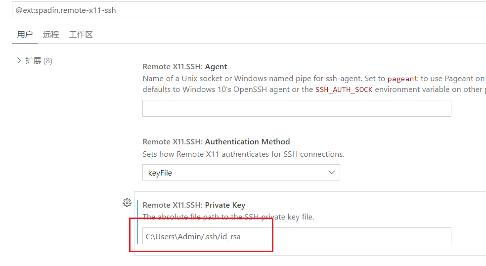 ssh+vscode remote显示x11_remote x11 (ssh)CSDN博客