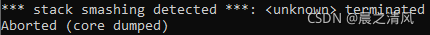 Linux C++ stack smashing detected错误
