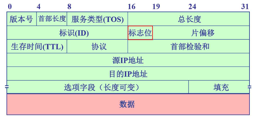 30、IP数据包结构