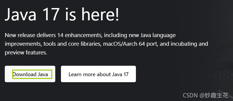 项目使用jdk17人傻了_idea2019支持jdk17吗-CSDN博客