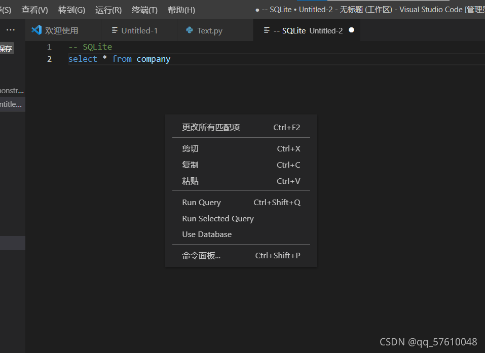 在VSCode中打开SQLite图表(python)_vscode打开db文件-CSDN博客