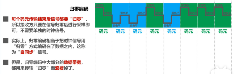 Cucu 意思