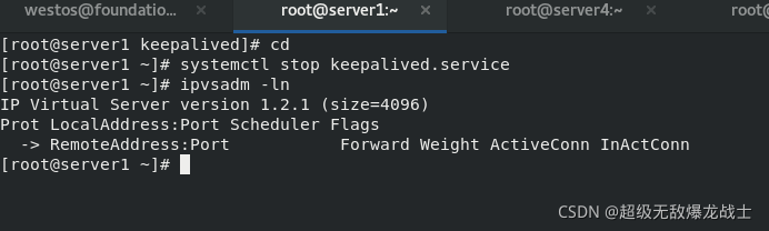 haproxy负载均衡_haproxy vip-CSDN博客