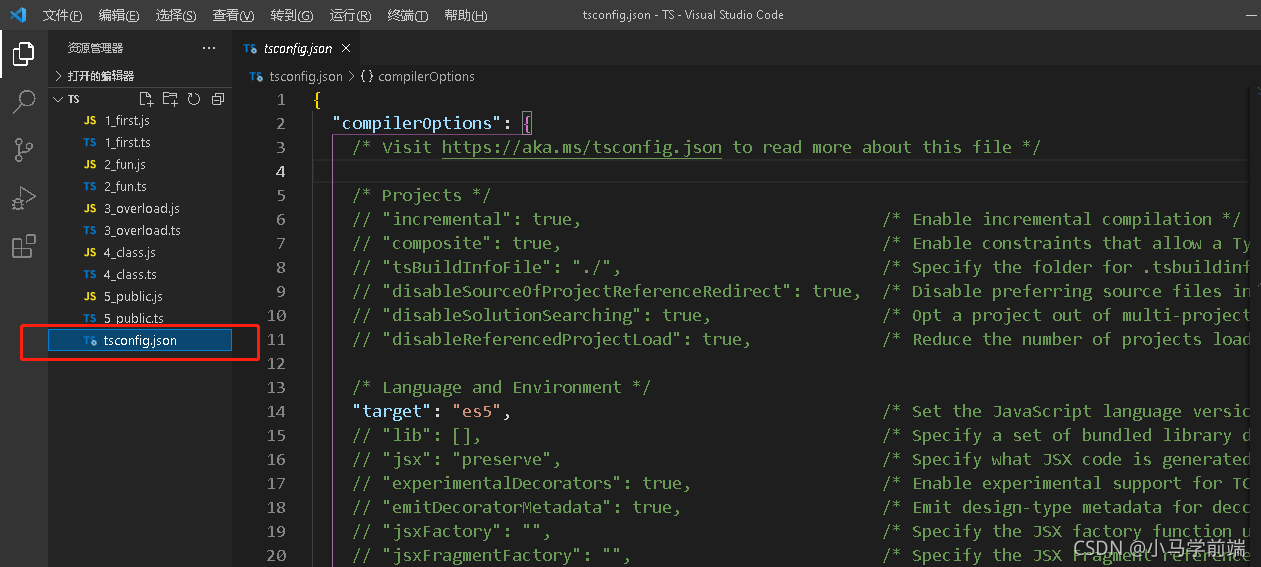 TypeScript 全面介绍-CSDN博客