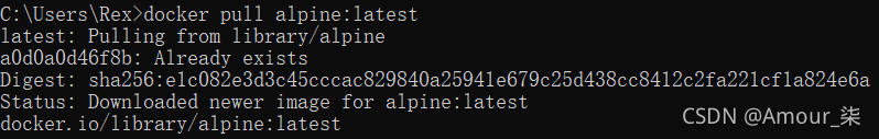 Docker Alpine容器中安装Python和pip3(附Dockerfile模板)_alpine 安装pip-CSDN博客