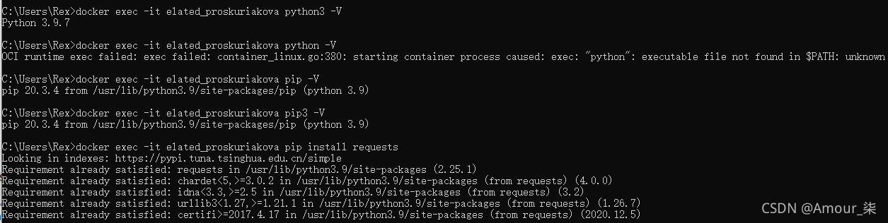 Docker Alpine容器中安装Python和pip3(附Dockerfile模板)_alpine 安装pip-CSDN博客