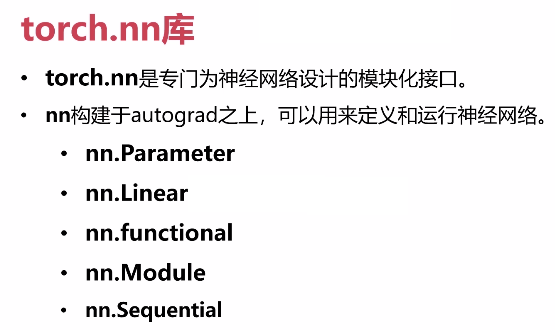 set model params nn torch