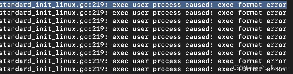 解决Docker 运行Standard_Init_Linux.Go:219: Exec User Process Caused: Exec  Format Error报错_A-Wliang的博客-Csdn博客