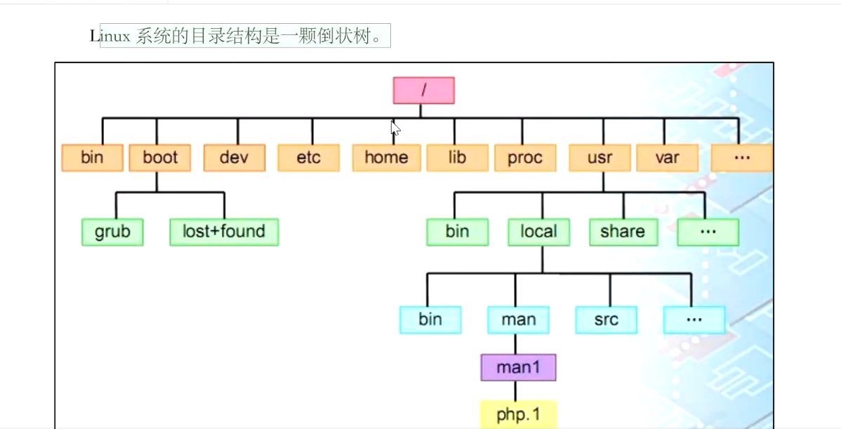 linux的目录结构是一颗倒状的树