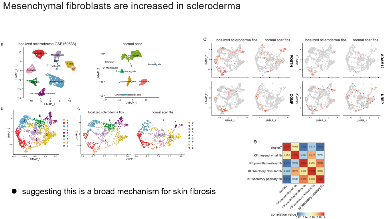 文献(5): 单细胞转录组揭示人类纤维化皮肤病中成纤维细胞的异质性