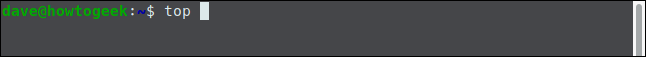 The "top" command in a terminal window.