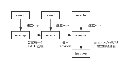 UNIX再学习 -- exec 函数族_execvp xrgs-CSDN博客