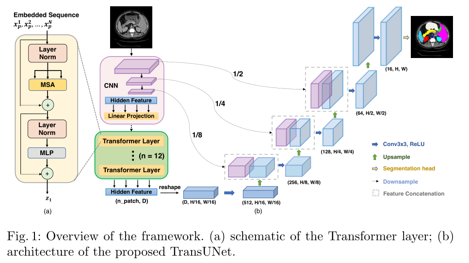 transformer进行医学图像分割文章