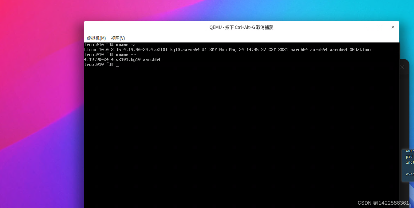 x86服务器部署kylin v10（arm版）虚拟机