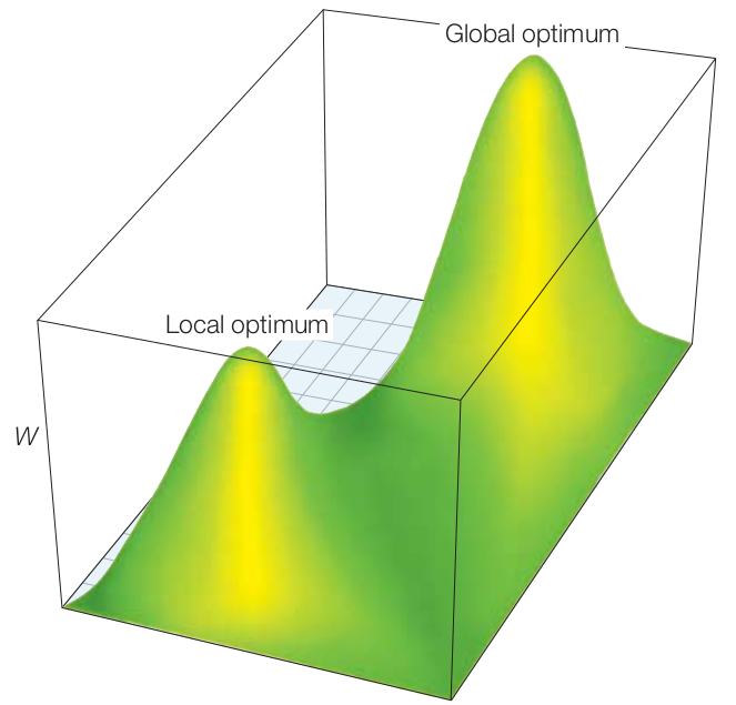 adaptive landscape