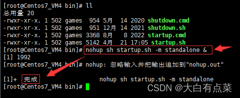 使用 nohup 开头和 & 结尾命令，以 后台方式 运行 startup.sh ，模式为单机模式