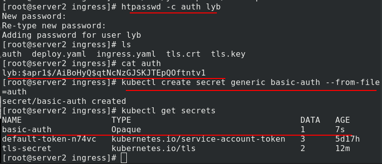 运维实操 kubernetes 七 ingress服务加密 认证 地址重写