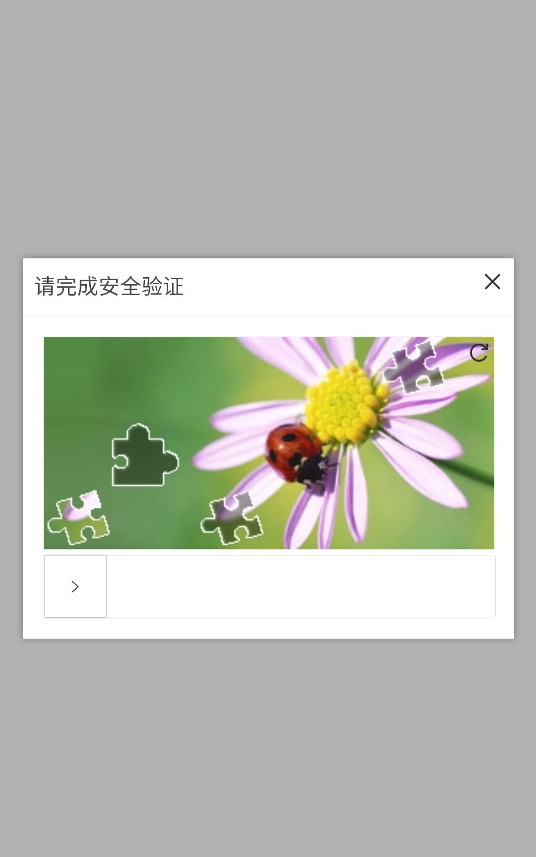 2021手机验证码接收网站是什么意思呀怎么设置