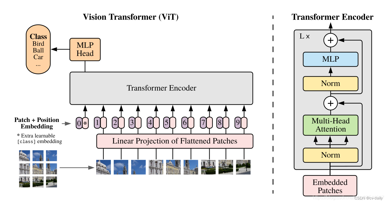 VIT 和Swin Transformer