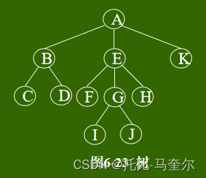 树和森林及哈夫曼树