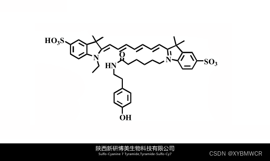 荧光染料Sulfo-Cyanine 7 Tyramide，Tyramide-Sulfo-Cy7，磺酸基-花青素Cy7 酪酰胺