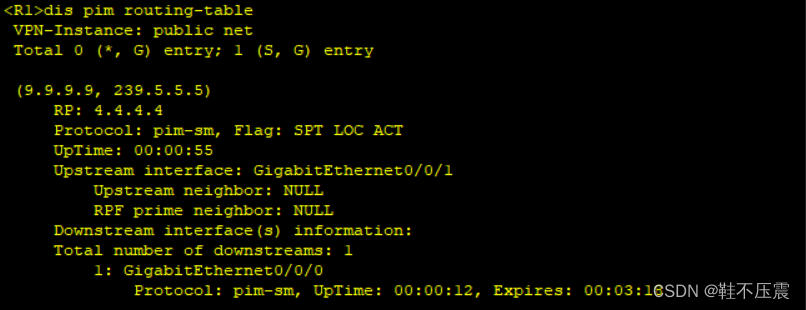 三十、组播技术——IGMP、IGMP-snooping、PIM-DM、PIM-SM