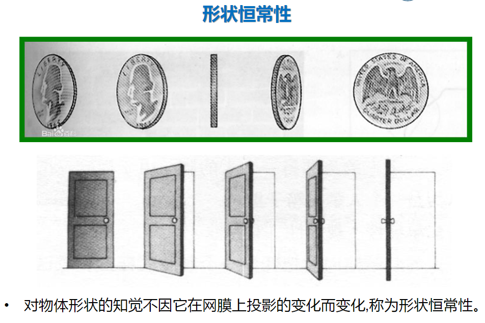 知觉的恒常性例子图片