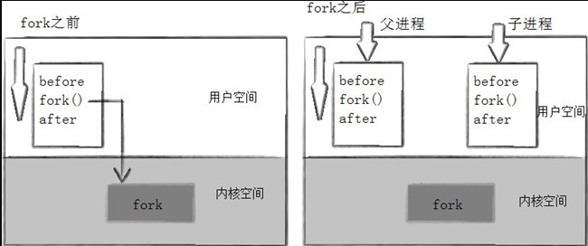 [外链图片转存失败,源站可能有防盗链机制,建议将图片保存下来直接上传(img-ua7kK5C4-1668515539934)(https://gitee.com/du-weiwei/typora/raw/master/image-20220311175555538.png)]