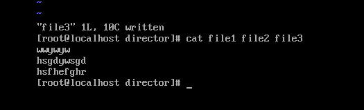 1、在／ tmp 目录下，新建目录 director 新建三个 txt 文件，分别命名为file1、file2、file3，用 vi 编辑器分别在三个文件中输入内容。