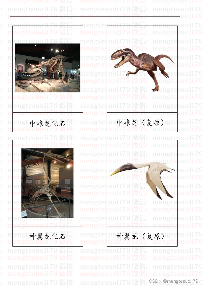 蒙特梭利三段卡--恐龙化石三段卡蒙氏教具_mengtesuoli79的博客-CSDN 
