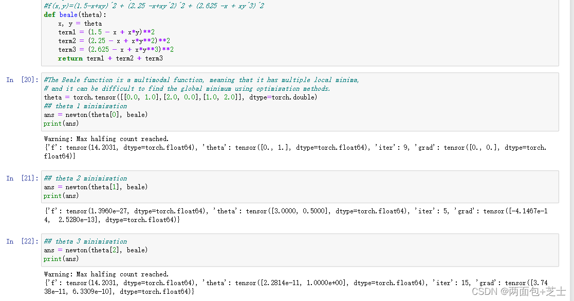 实现Newton方法的最小化函数(pytorch)