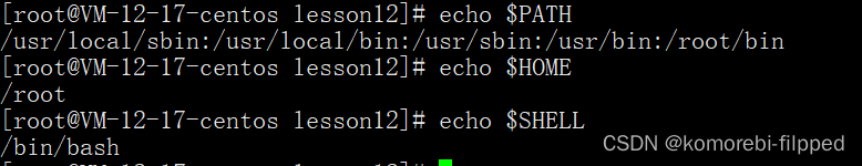 Linux环境变量