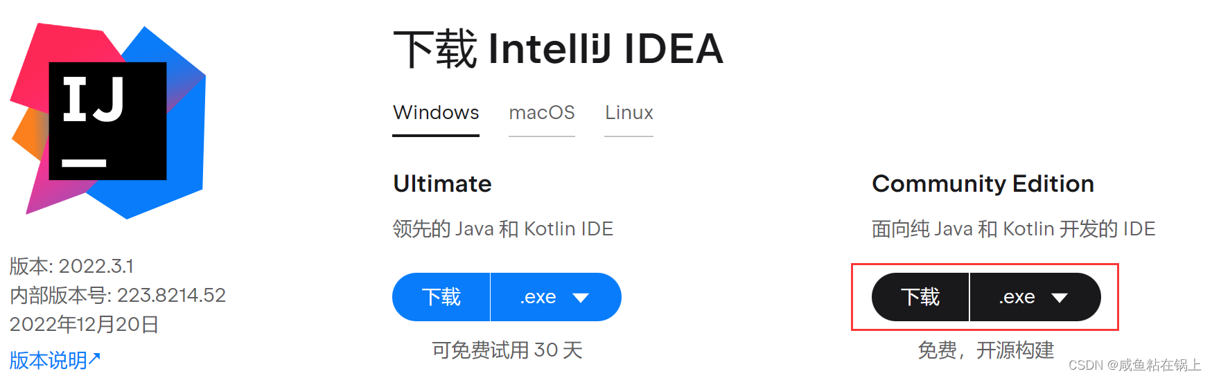 IDEA 下载