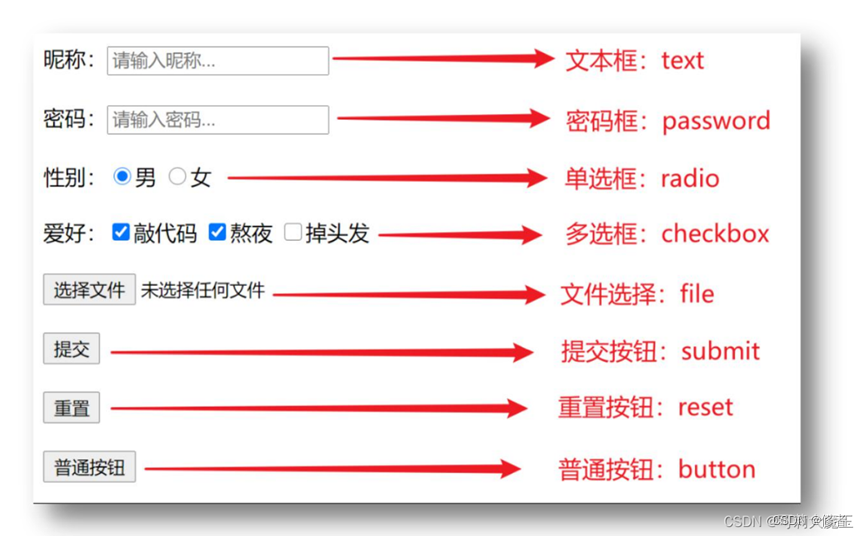 input标签显示内容一览