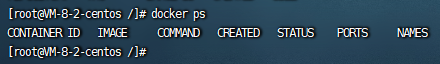 docker ps 示例