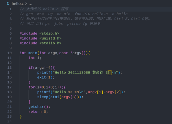 程序人生-Hello’s P2P HIT CSAPP（2023）大作业