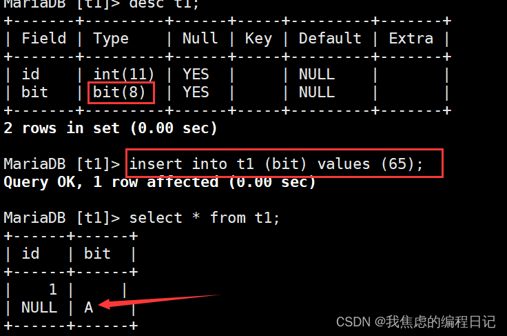 【MySQL】数据类型