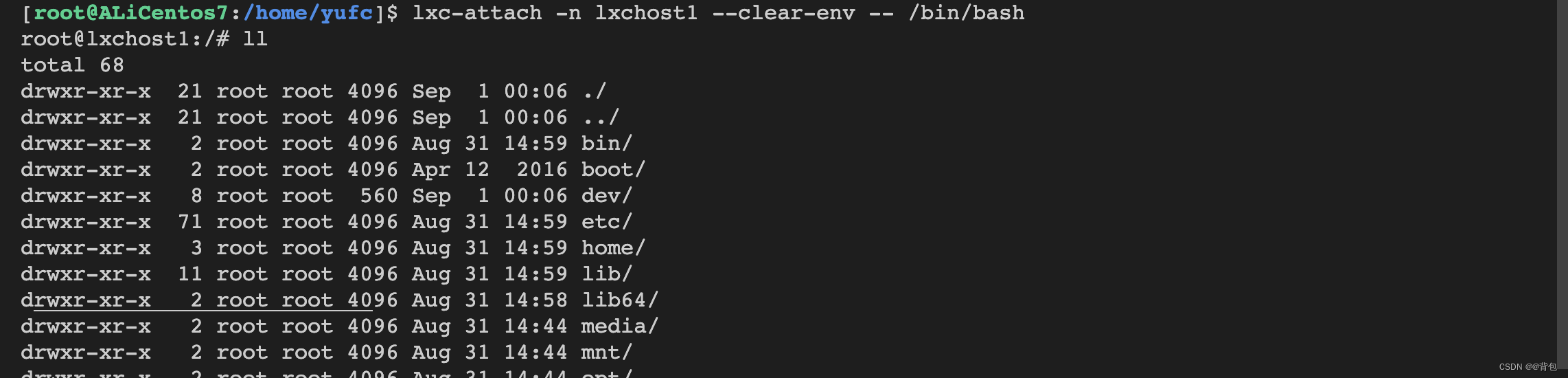 Docker从认识到实践再到底层原理（二-3）｜LXC容器