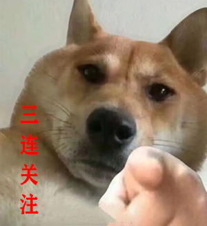 第二章让你的kali系统变得更好用