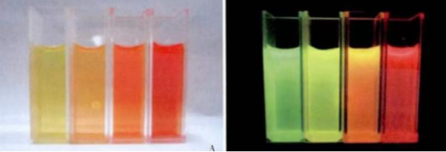 水溶性CdTe/CdSe/ZnS量子点，发射波长780nm左右,粒径均一，吸收光谱宽泛，发射光谱对称