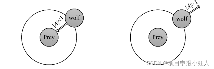 灰狼算法Grey Wolf Optimizer跑23个经典测试函数|含源码