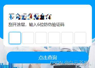 vue实现验证码输入