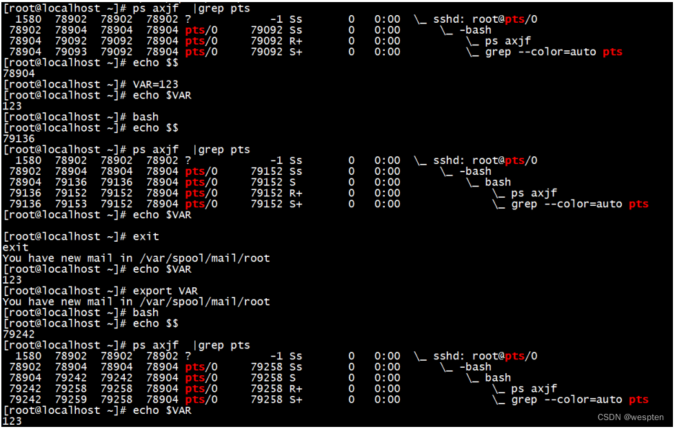 Shell脚本详解 Wespten的博客 Csdn博客 Shell脚本详解