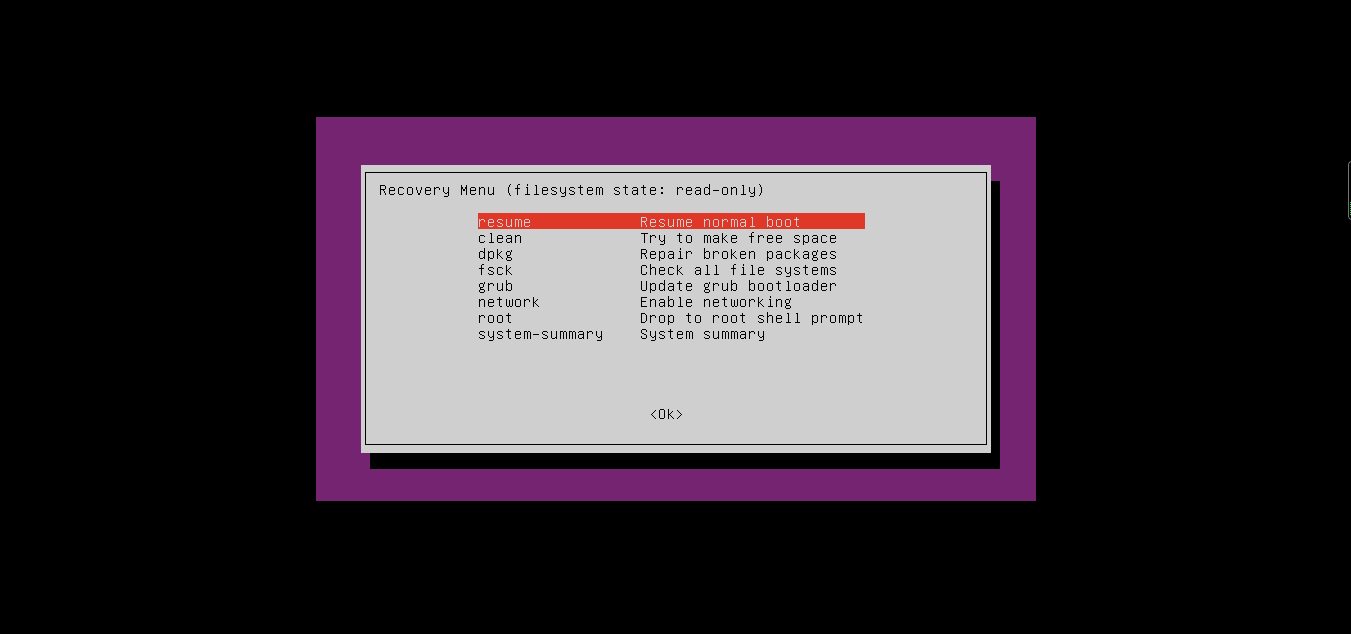 ubuntu reset passwd 10 resume.png