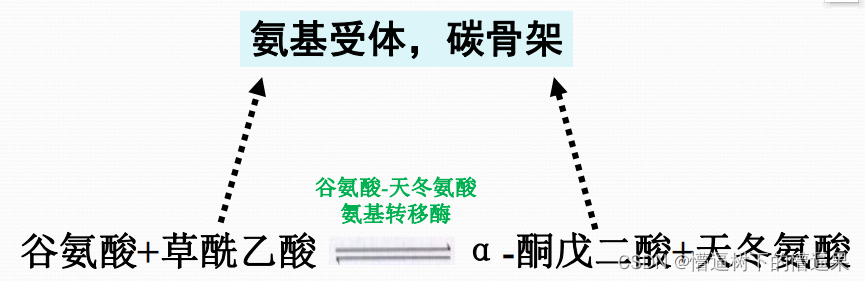 生命的律动