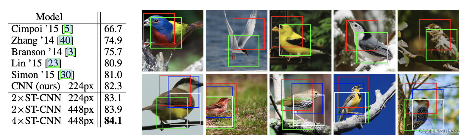 鸟类分类的效果示意图