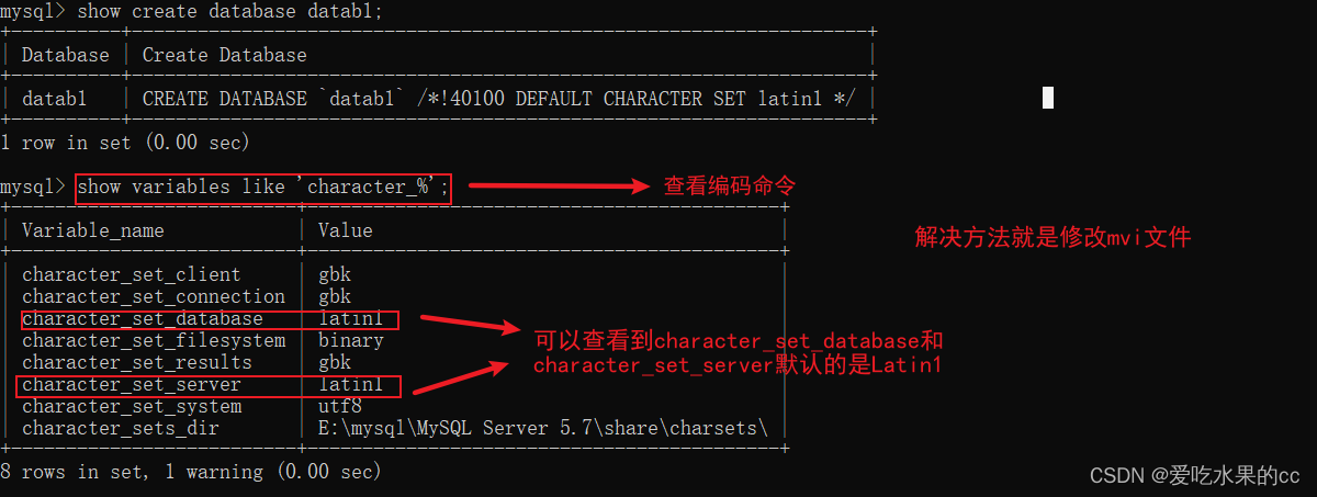 MySQL instance