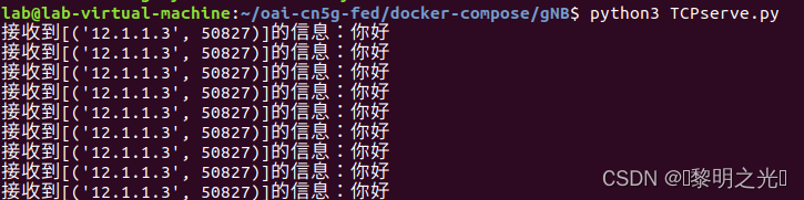 UWERANSIM - OAI5GC分立部署教程